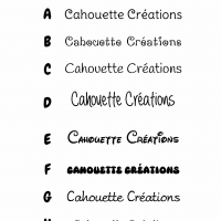 Copie de elements a choisir 1 